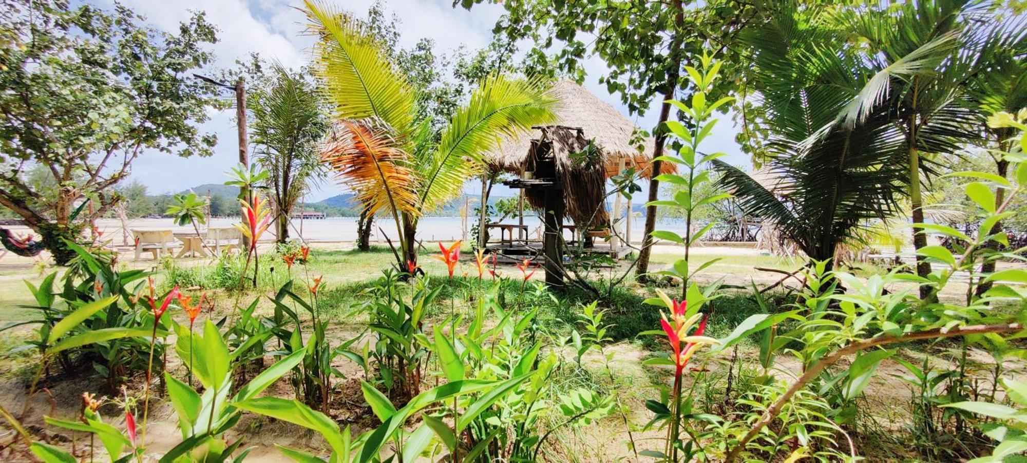 Mangrove Beach Bungalows Koh Rong Sanloem Exteriör bild